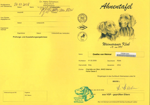 Ahnentafel Weimaraner Klub e.V.