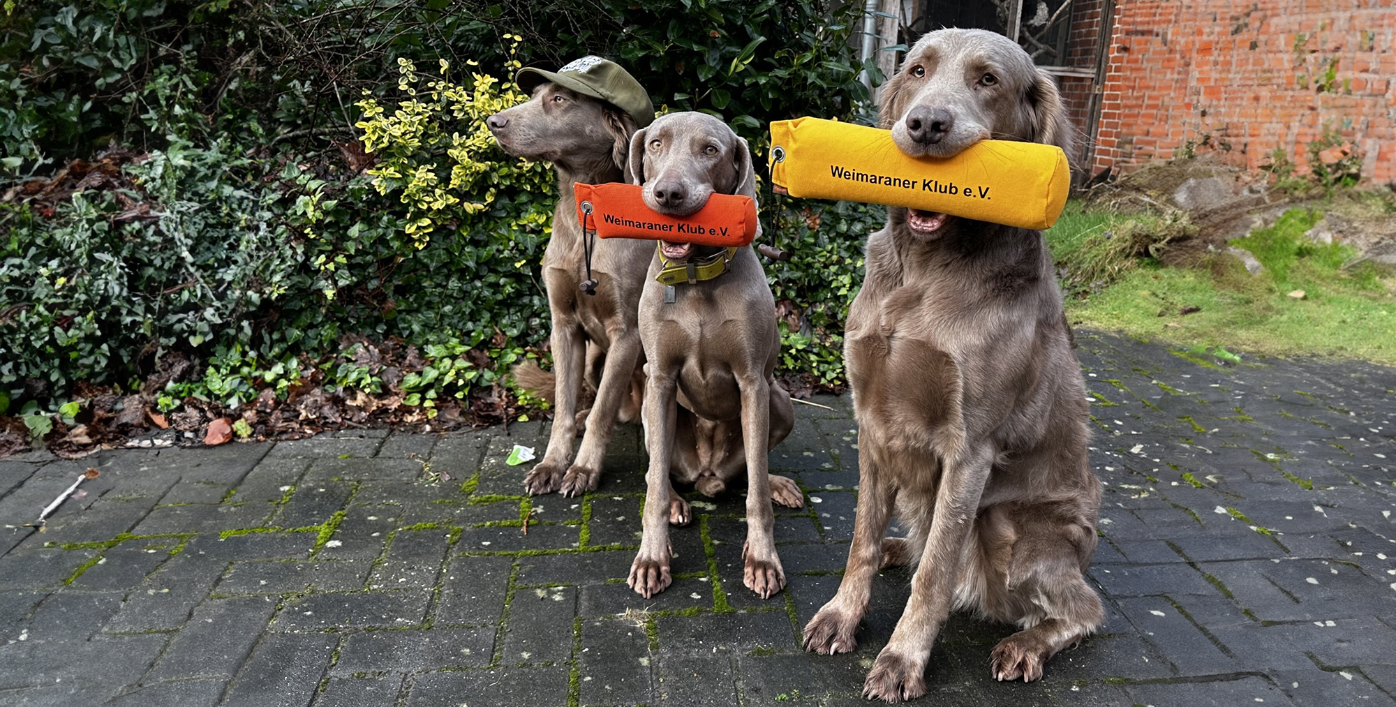 zum Kestenbusch Trio